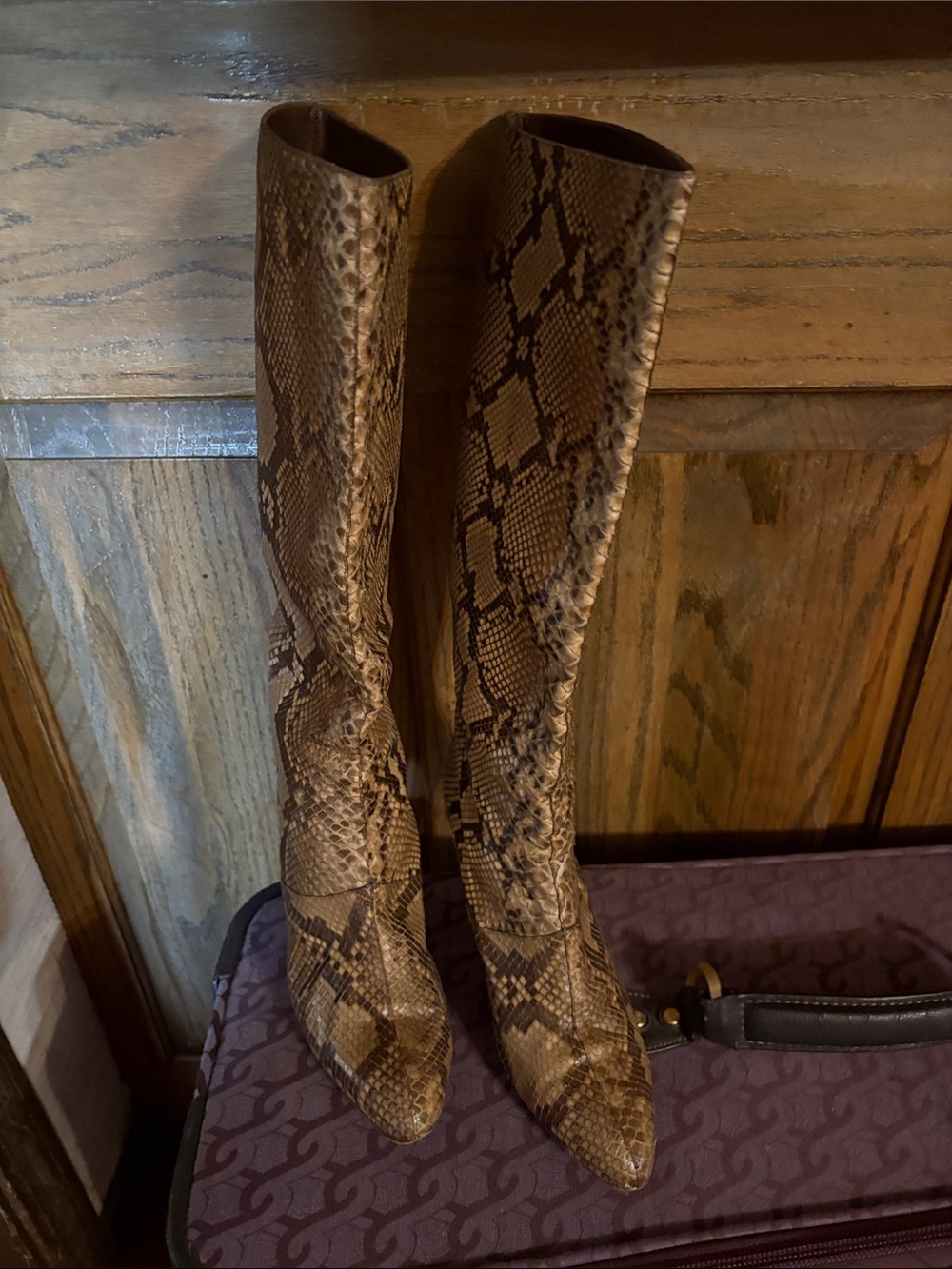 Vero Cuoio Brown Snake-Print To The Knee Boots